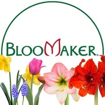 @bloomaker