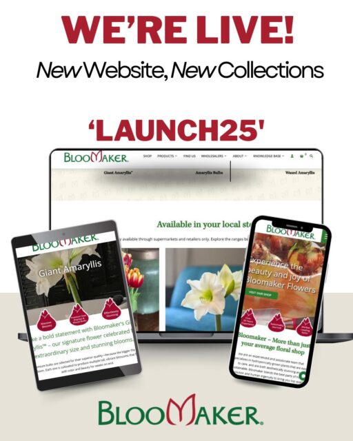 🎉 Still haven’t explored our new website?
Now’s the time, our Fall Collection is waiting to brighten your home. 🍂✨
https://bit.ly/45MtQii is now live with a fresh look and smoother shopping. You can discover fresh seasonal décor, waxed amaryllis gifts, and more, all with 25% off your first order using code LAUNCH25.
Don’t miss out on a more joyful (and easier!) way to shop flowers. 🌷🍂
#FallInBloom #Bloomaker #WaxedAmaryllis #Launch25 #FallDecor #ShopSmall