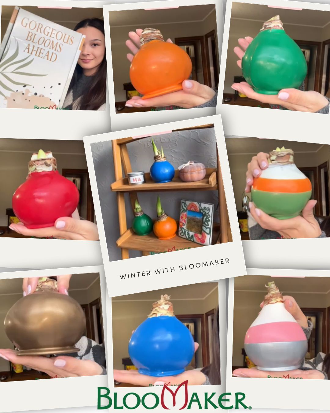 ❄️ Cozy up your space with color and quiet magic.

These waxed Amaryllis bulbs are a perfect way to style your season. With rich, festive colors and no care required (yes, really!), they're beautiful right out of the box. 🌈

Place them on your mantel, shelf, or table, and watch them slowly come to life in the coming weeks. The holidays may fly by, but these blooms remind us to pause and enjoy the moment.

✨ A thoughtful gift, a statement accent, and a gentle reminder: beauty grows with time.

➤ Browse the Winter Collection: https://bit.ly/3LXGPaV

#Bloomaker #WaxedAmaryllis #WinterBulbs #ChristmasDecor #SeasonalStyle #HomeWithBloomaker #GiftIdeas #CozyLiving #ElegantGifting