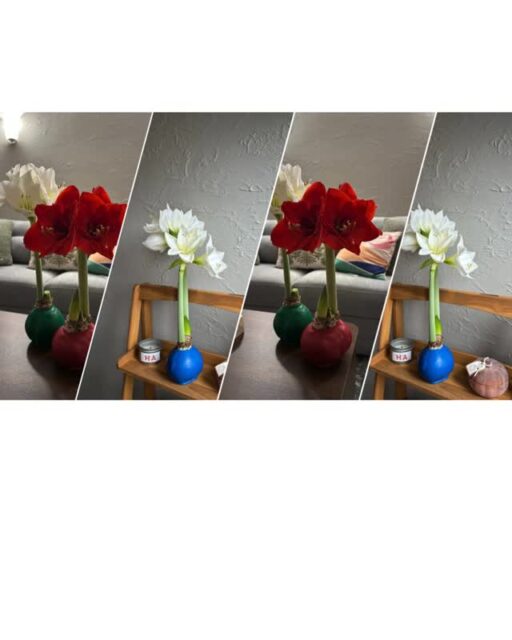 A quiet moment at home,
made brighter by something in bloom 🤍
Because a little color (and a little joy) changes everything.
#HomeDecor #FlowerInspiration #DailyBlooms