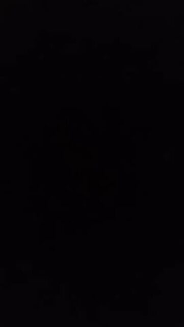 ⏰ Last Chance — Today’s the Final Day! It’s the last day of our local warehouse sale! Stop by and grab beautiful finds you won’t see online — including unique waxed amaryllis and special vase pieces available only in person.

Come browse, pick your favorites, and take something home before it’s gone. Once today is over, the sale is too!

See you soon! 🌸