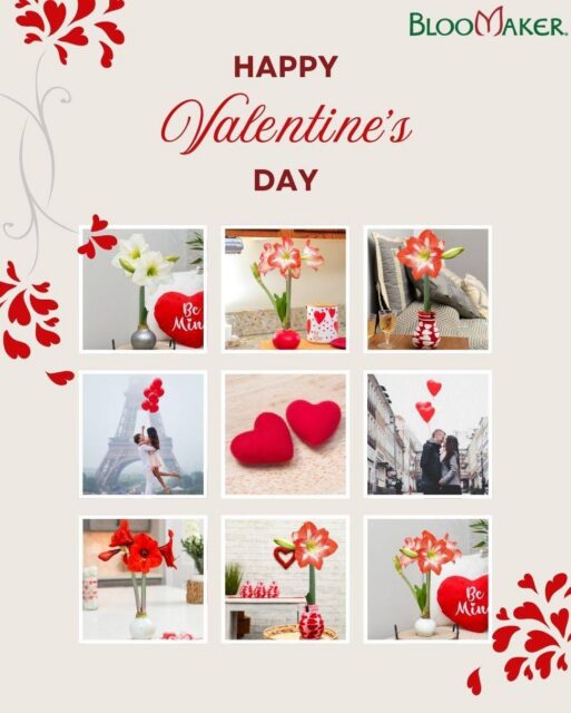Today is for love that’s chosen, shared, and celebrated 💘
The quiet moments, the thoughtful gestures, and the people who make life feel fuller.

However you’re spending Valentine’s Day, we hope it’s filled with beauty, connection, and something that makes your heart bloom.

Happy Valentine’s Day.

#ValentinesDay #LoveInBloom #Bloomaker #RomanticMoments #FlowersForLove