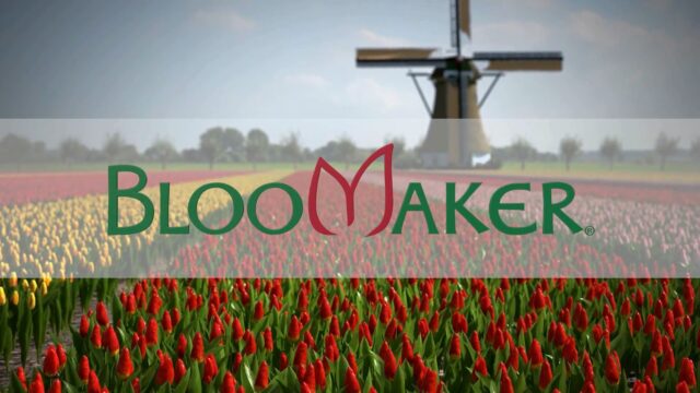 While we’re still enjoying this season, we’re already getting ready for spring, with fresh Bloomaker blooms that bring instant color and joy into your home.
‎ 
For years, Bloomaker has been creating ready-to-enjoy flowers that bloom effortlessly, letting you enjoy beautiful flowers without the work. And as more people discover how easy it is to enjoy blooms at home, we remain committed to bringing you the original quality and care you can count on.
‎ 
Spring is just around the corner, and we can’t wait to share what’s coming next. 🌷
‎ 
#Bloomaker #readytobloom #FloralInnovation #springiscoming #OriginalBloomaker