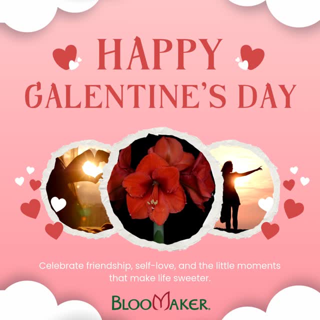 Valentine’s Day is coming up, and love comes in many forms 💗
This moment is about celebrating friendships, self-love, and the little things that make life sweeter.

Buy yourself flowers.
Send blooms to the friend who always shows up.
Brighten your space just because you deserve it.

Flowers don’t need a reason, sometimes joy is reason enough.

#GalentinesDay #SelfLoveFlowers #FriendshipLove #EverydayJoy #Bloomaker