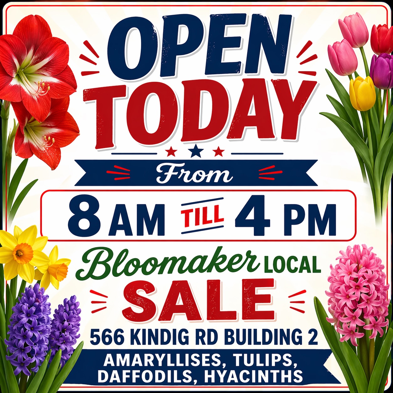 WE ARE OPEN TODAY 🌸 From 8 AM – 4 PM

Stop by our Bloomaker local sale at 566 Kindig Rd (Building 2) and grab beautiful amaryllises, tulips, daffodils & hyacinths while they last! 

#localSale #Bloomaker #SpringFlowers #flowersale