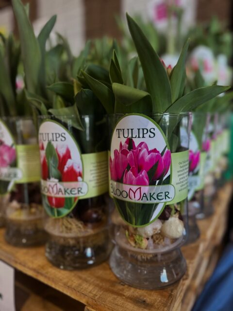 We’re ready! 🌸 Doors open tomorrow for our End of Season Sale! Come early for the best selection.

📍 566 Kindig Rd, Waynesboro
⏰ Starting at 10 AM

See you soon! 🤗