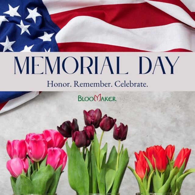 Today, we honor and remember the brave heroes who made the ultimate sacrifice for our country ❤️🤍💙
As we gather with loved ones this Memorial Day, may we also take a moment to reflect with gratitude and appreciation.
Wishing you a peaceful day filled with love, remembrance, and beautiful blooms 🌸
#MemorialDay #Bloomaker #RememberAndHonor
