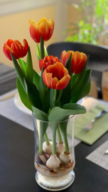 Hello, summer ☀️🌸

Longer days.
Open windows.
Fresh starts.

Summer has officially arrived, and there's no better time to bring a little more beauty indoors.

Whether it's a colorful centerpiece, a bright corner of your home, or simply a reminder to slow down and enjoy the season, flowers help us celebrate the moments that matter.

What's your favorite thing about summer?

#FirstDayOfSummer #SummerDecor #Bloomaker #IndoorFlowers