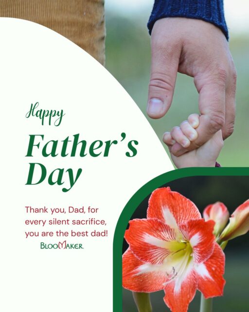 Dads help us grow in more ways than one. 💚
They teach us patience, encourage us through challenges, and celebrate our successes, big and small.
This Father's Day, we're celebrating the dads, grandfathers, mentors, and father figures who help life bloom.
Whether you're spending the day together, sharing a favorite memory, or sending a thoughtful gift from afar, we hope it's filled with moments that matter.
Happy Father's Day from all of us at Bloomaker. 🌸
#FathersDay #Bloomaker
