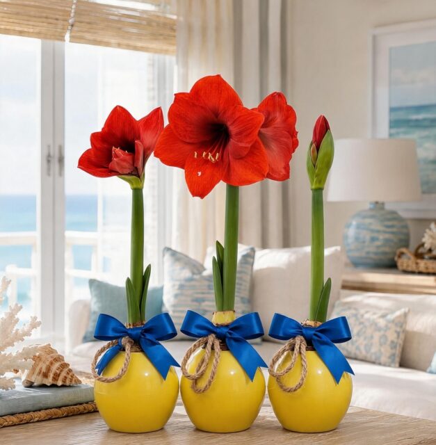Summer hydration, no watering can needed💧
The Bloomaker™ Ball lets you grow stunning amaryllis hydroponically: no soil, no mess, no complicated care routine.
Just add water and watch it bloom. Available in Pink, Purple, and Yellow.🌸