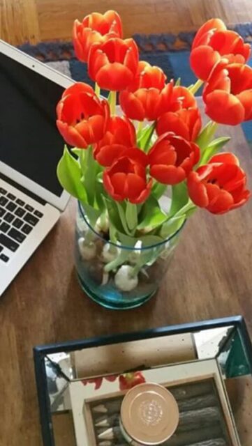 Sometimes all it takes is one beautiful bloom to make your home feel refreshed.
Fresh flowers have a way of slowing us down, helping us appreciate the little moments, and adding beauty to everyday routines.
Here's to a relaxing day filled with simple joys. 🌸
#Bloomaker #FreshFlowers #HomeDecor #FlowerBulbs #PlantLovers #IndoorGarden #SimpleLiving #BloomAtHome