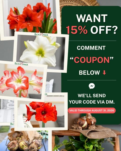 🌸 Want 15% off your next Bloomaker.com order?
‎ 
Comment COUPON below and we'll send your exclusive discount code straight to your DMs! 💌
‎ ‎
Hurry, your code is only valid through August 31.
‎ 
👇 Comment COUPON to get yours!