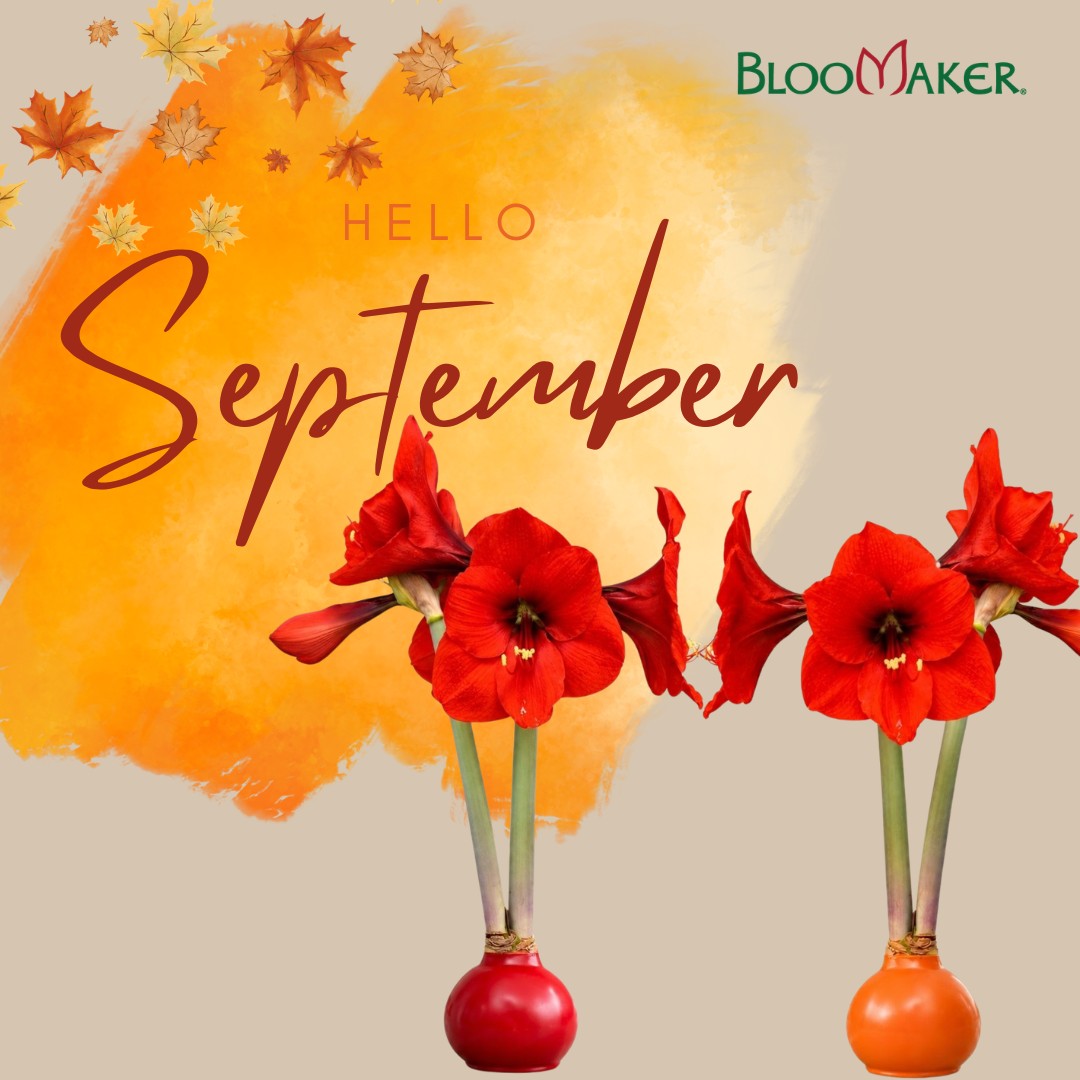 Hello, September! 🌸

A new month brings new inspiration, new growing moments and more beautiful blooms to enjoy.

Whether you’re caring for a favorite flower or simply looking forward to the next growing season, we hope your September is filled with color.

What are you most excited about this month?

#HelloSeptember #Bloomaker #FlowerLovers #Amaryllis #BloomingBeautiful