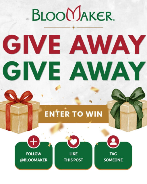 🎉 FALL GIVEAWAY 🎉

We're giving away a 3-pack of Waxed Amaryllis bulbs: the perfect fall gifting tradition! The winner gets to pick their favorite 3-pack from our webshop, and can choose to have it shipped directly to them or to someone else as a gift.

TO ENTER:
1️⃣ Follow @Bloomaker
2️⃣ Like this post
3️⃣ Tag the person you'd gift Bloomaker flowers to this fall 🌷

Enter by September 28. Winner announced September 29. Good luck! 🌸

*Not sponsored by, endorsed by, or affiliated with Meta.