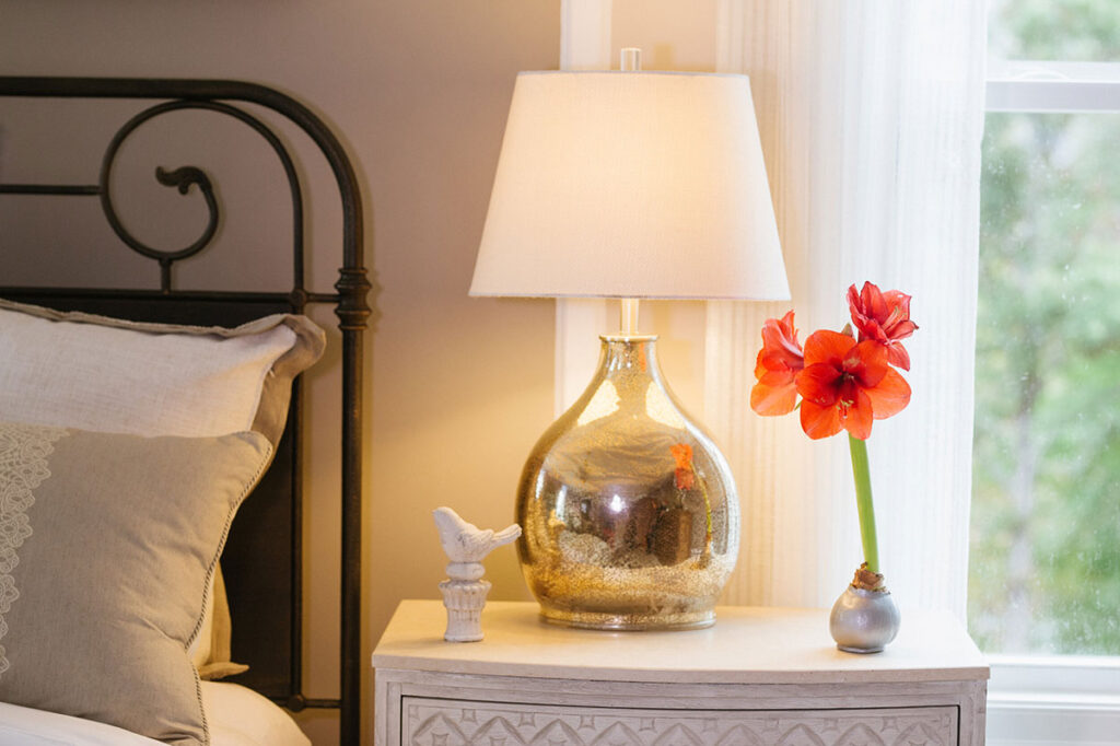 Why The Amaryllis Is A Versatile Choice 4 Bloomaker waxed Red Lion Amaryllis in a bedroom setting