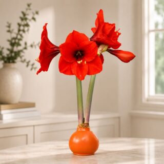 National Best Friend Day: 8 Flower Arrangements to Send Your Person 7 Autumn Sunset