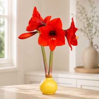 National Best Friend Day: 8 Flower Arrangements to Send Your Person 8 Bright Yellow
