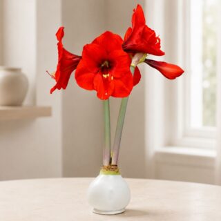National Best Friend Day: 8 Flower Arrangements to Send Your Person 6 White