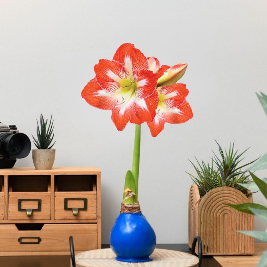National Best Friend Day: 8 Flower Arrangements to Send Your Person 9 Sapphire Blue