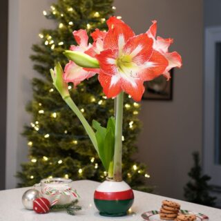 Bloomaker Original
