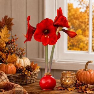 Bright Red