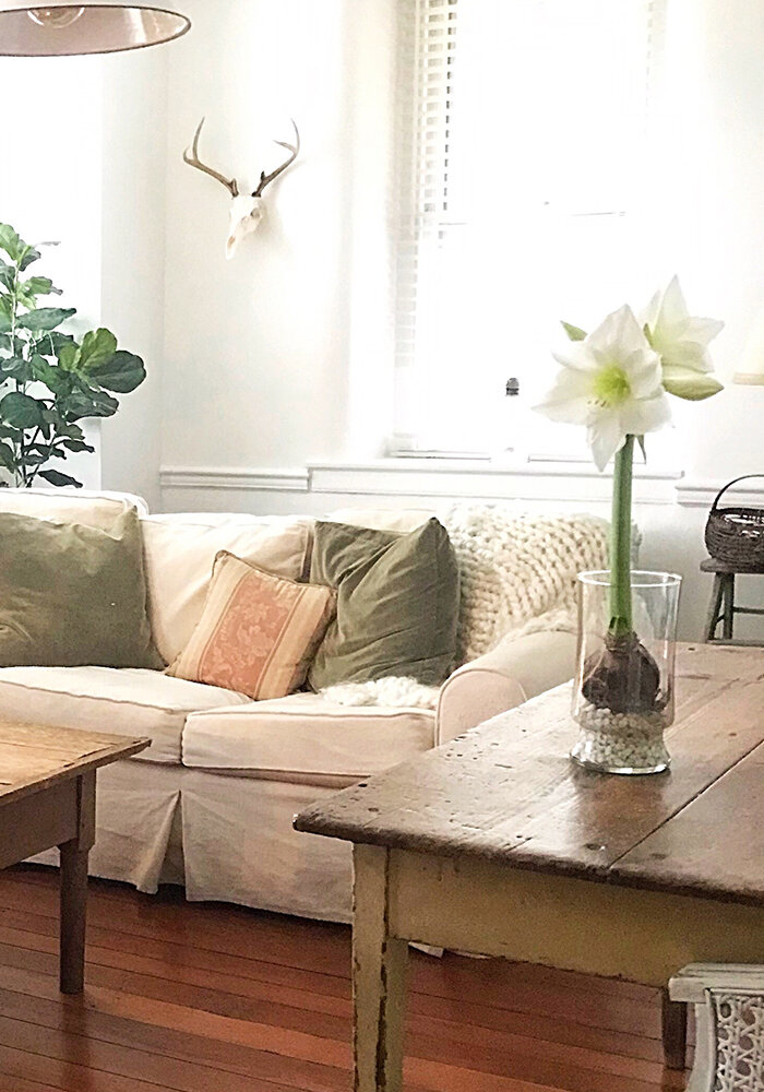 Product Gallery 32 bloomaker vase amaryllis
