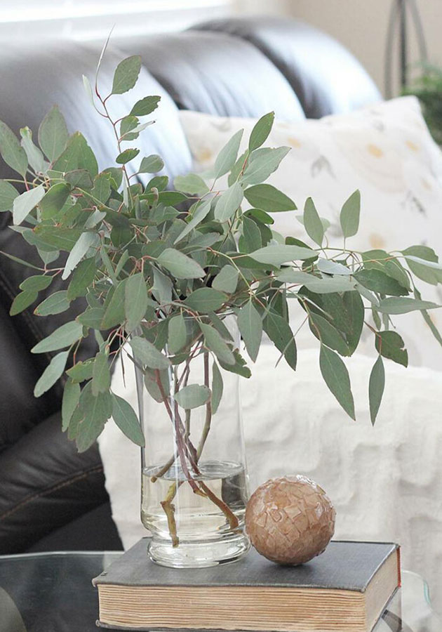 bloomaker vase reuse 3