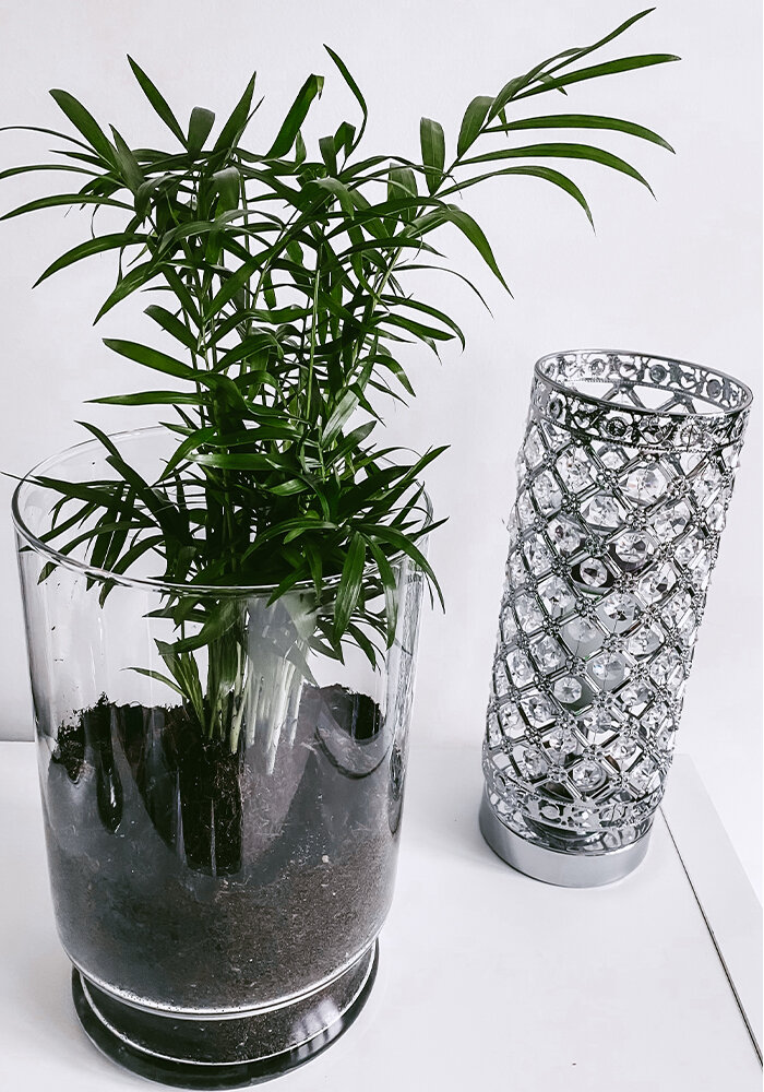 Product Gallery 43 bloomaker vase reuse