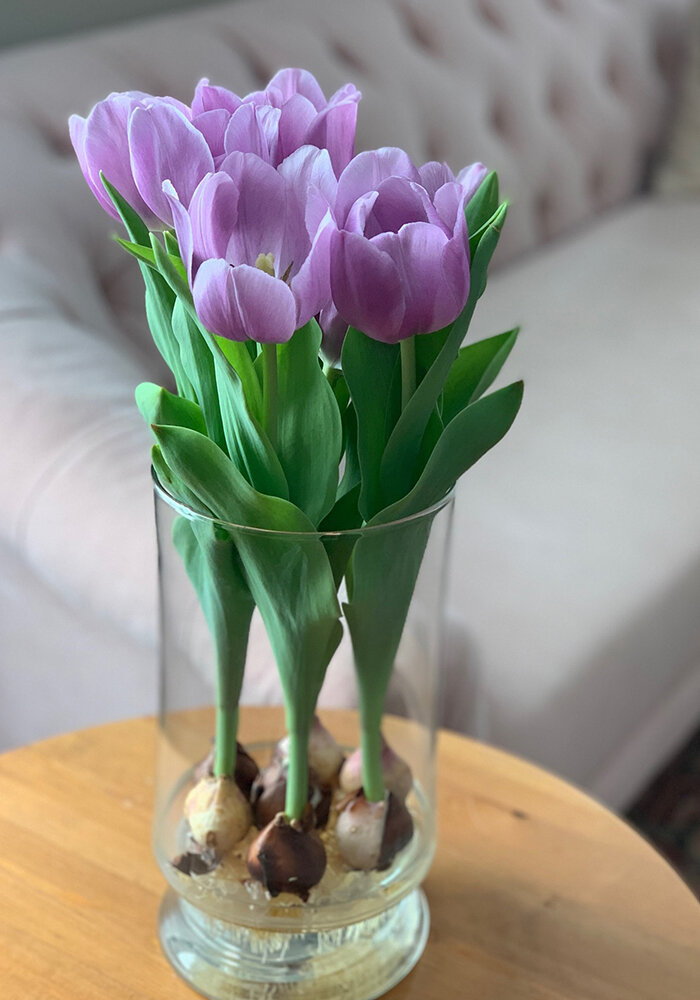 Product Gallery 1 Tulips in Bloomaker Vase