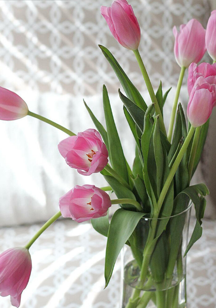 Product Gallery 53 bloomaker vase tulips