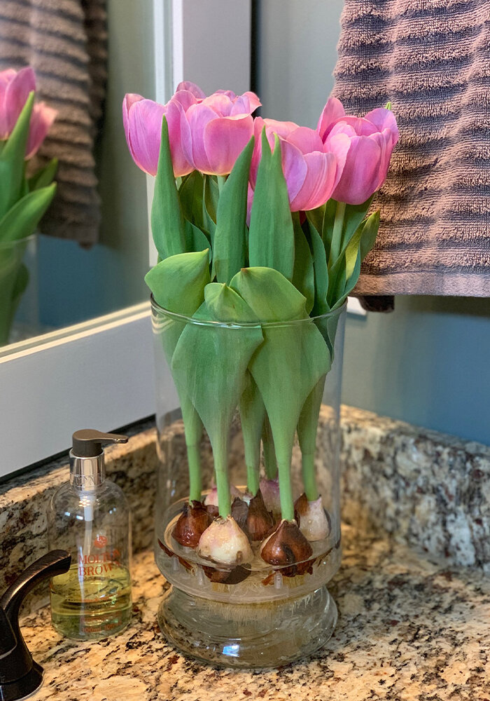 Product Gallery 3 Tulips in Bloomaker Vase