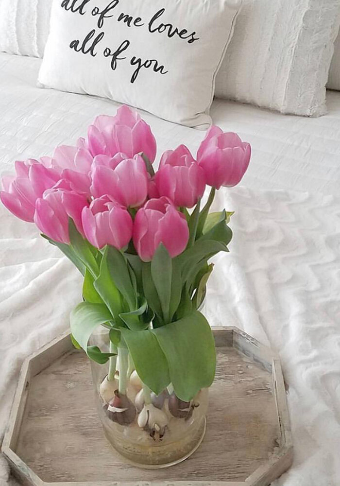Product Gallery 13 bloomaker vase tulips