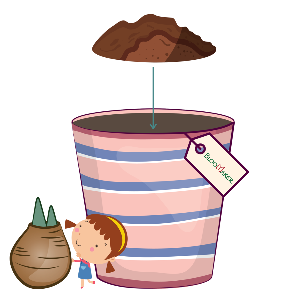 Planting with Kids 2 planting with kids add soil