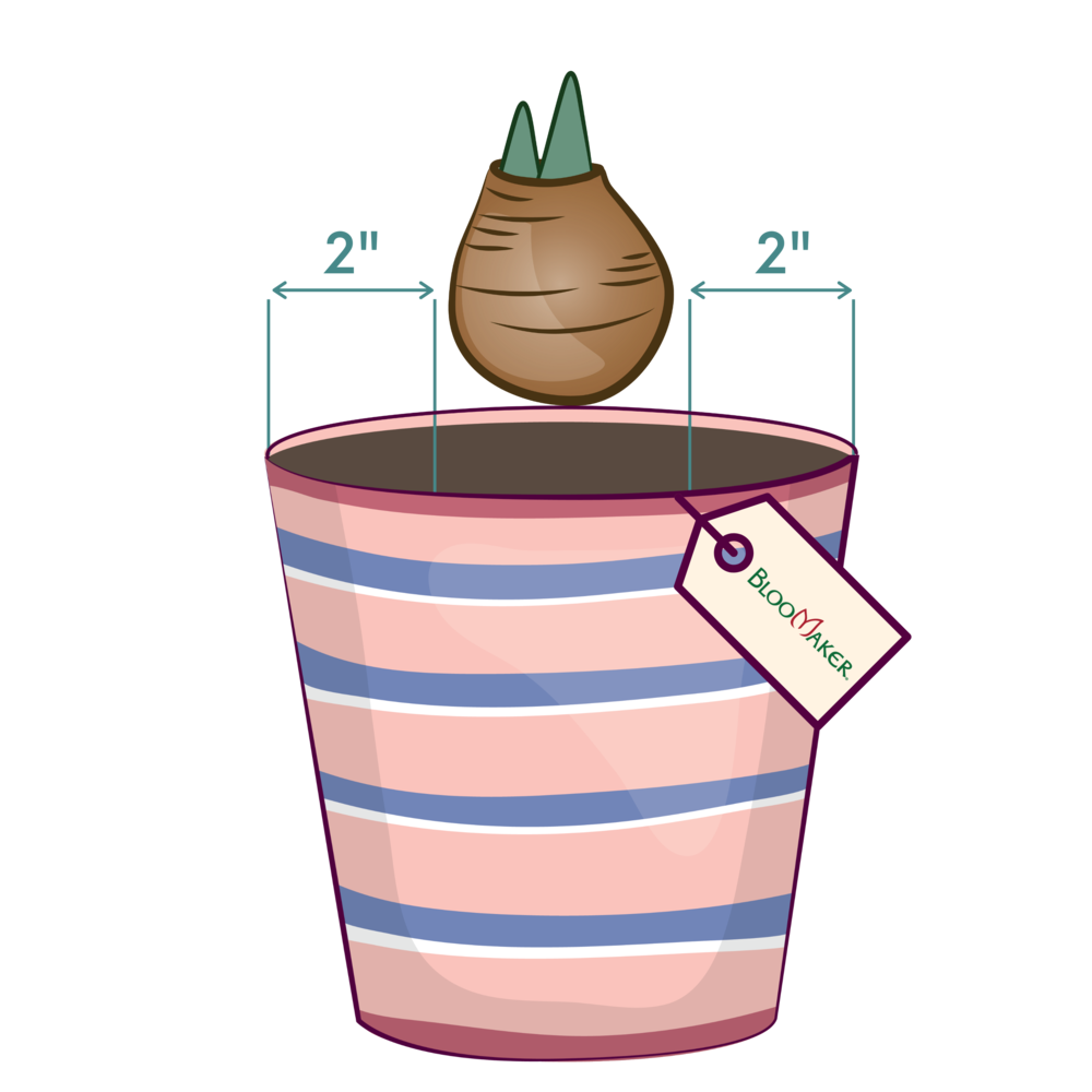 Planting with Kids 1 planting with kids choose container