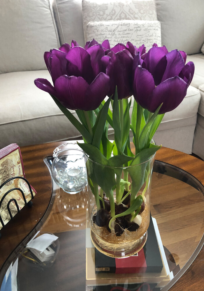 Product Gallery 27 Tulips in Bloomaker Vase