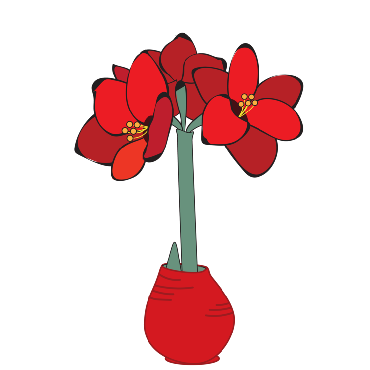 waxed amaryllis growth stage 3